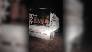 كيف تم ضبط كميات كبيرة من الحطب في جرش كيف تم ضبط كميات كبيرة من الحطب في جرش