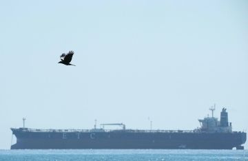 قاليباف لترامب: استدر لنستدر!