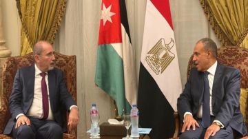 الصفدي وعبدالعاطي يبحثان التطورات في المنطقة الصفدي وعبدالعاطي يبحثان التطورات في المنطقة