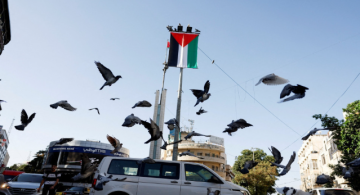 الإحصاء الفلسطيني : ارتفاع أسعار المنتج 13.82 خلال آب الإحصاء الفلسطيني : ارتفاع أسعار المنتج 13.82 خلال آب