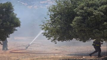 حريق يلتهم عشرات الدونمات بين جرش وعجلون حريق يلتهم عشرات الدونمات بين جرش وعجلون