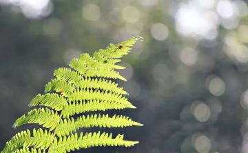 كتلة هوائية لطيفة ورطبة اليوم مع توقع زخات مطر شمالا كتلة هوائية لطيفة ورطبة اليوم مع توقع زخات مطر شمالا