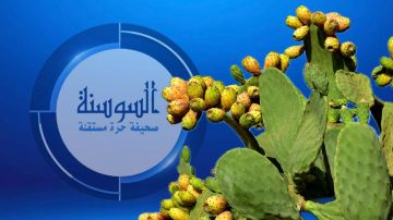 كيف يحمي التين الشوكي قلبك ويحارب الالتهابات؟ كيف يحمي التين الشوكي قلبك ويحارب الالتهابات؟