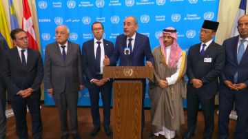 الصفدي: إشارات سخيفة من مسؤولين إسرائيليين بشأن حل القضية الفلسطينية على حساب الأردن .. وهذا مستحيل
