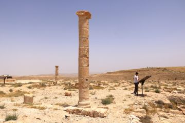 مكاور الأثري يحتضن اليوم فعالية لتعزيز موقعه السياحي مكاور الأثري يحتضن اليوم فعالية لتعزيز موقعه السياحي