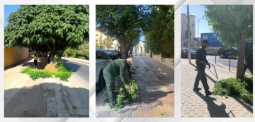 أمانة عمان: الأرصفة حق للمشاة ومنع استخدامها كمواقف خاصة أو لخدمات الفاليه أمانة عمان: الأرصفة حق للمشاة ومنع استخدامها كمواقف خاصة أو لخدمات الفاليه