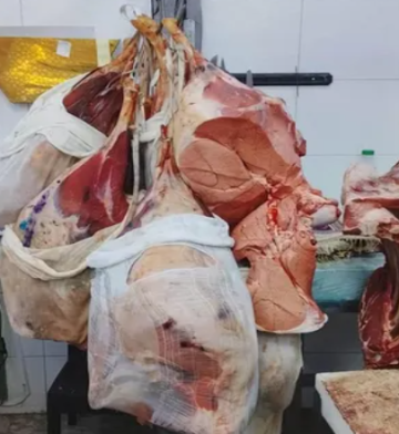 ضبط 188 كغم لحوم منتهية الصلاحية في الكرك ضبط 188 كغم لحوم منتهية الصلاحية في الكرك