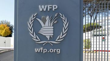 الأغذية العالمي : نقص التمويل يعيق عملياتنا الأغذية العالمي : نقص التمويل يعيق عملياتنا