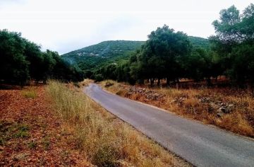 أجواء صيفية معتدلة السبت.. وانخفاض جديد على درجات الحرارة أجواء صيفية معتدلة السبت.. وانخفاض جديد على درجات الحرارة