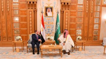 السيسي يستقبل ولي العهد السعودي في مصر الثلاثاء