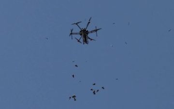 3 شهداء وإصابات بنيران الاحتلال في غزة 3 شهداء وإصابات بنيران الاحتلال في غزة