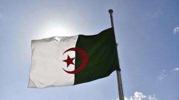 إبراهيم حمداني مدربا جديدا لمنتخب الجزائر إبراهيم حمداني مدربا جديدا لمنتخب الجزائر