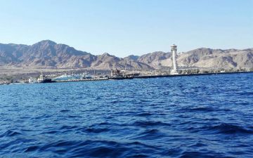 إخلاء ميناء العقبة الجنوبي احترازيا بعد أنباء عن تسرب للأمونيا إخلاء ميناء العقبة الجنوبي احترازيا بعد أنباء عن تسرب للأمونيا
