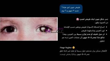الأردن : طفل خسر عينه بعد طمأنة خاطئة من الذكاء الاصطناعي وتأخر مراجعة الطبيب الأردن : طفل خسر عينه بعد طمأنة خاطئة من الذكاء الاصطناعي وتأخر مراجعة الطبيب