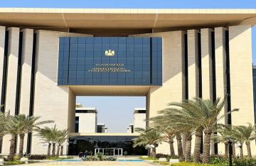 شائعة الرسوم تشعل غضب المصريين بالخارج .. والخارجية المصرية تحسم الجدل شائعة الرسوم تشعل غضب المصريين بالخارج .. والخارجية المصرية تحسم الجدل