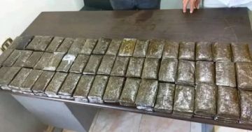 مصر تحبط تهريب 280 فرش حشيش كانت في طريقها إلى الأردن