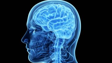 كيف تتحكم جمجمتك في الآلام المزمنة وأمراض الدماغ؟ كيف تتحكم جمجمتك في الآلام المزمنة وأمراض الدماغ؟
