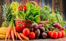 2600 طن خضار وفواكه تصل السوق المركزي اليوم .. أسعار