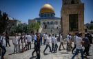 مستوطنون يقتحمون المسجد الاقصى خلال عيد الغفران - jo