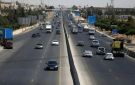 5000 شجرة تزين طريق المطار بمشاركة شباب المحافظات