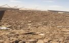 الاردن .. ضبط 2000 طن من السماد العضوي في سحاب والموقر ومخالفات بيئية