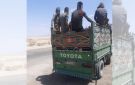 ضبط مركبة تقل 14 راكبا في صندوقها على طريق المطار - jo