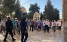 الأردن يدين استمرار اقتحامات المستوطنين للمسجد الأقصى - jo