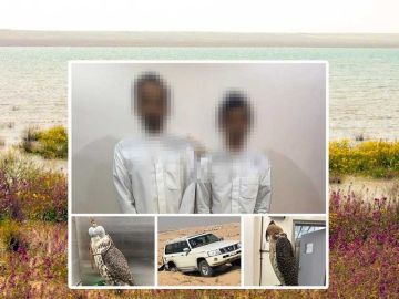 الداخلية : ضبط شخصين دخلا محمية صباح الأحمد دون تصريح  الداخلية : ضبط شخصين دخلا محمية صباح الأحمد دون تصريح