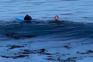 حاول إنقاذ صديقه فمات معه!