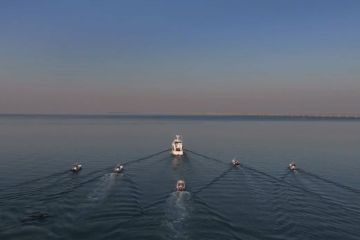 زيارة ميدانية لـ جون الكويت لمتابعة السماح بصيد الميد زيارة ميدانية لـ جون الكويت لمتابعة السماح بصيد الميد