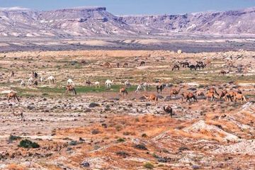 تشغيل جيوبارك شمال جون الكويت يناير المقبل تشغيل جيوبارك شمال جون الكويت يناير المقبل