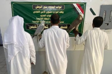 الداخلية العراقية : القبض على ثلاثة صيادين كويتيين في بادية المثنى  الداخلية العراقية : القبض على ثلاثة صيادين كويتيين في بادية المثنى