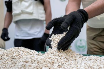  المخدرات الجديد ... توحيد القوانين في نص واحد