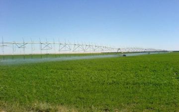  الزراعة الكويتية تناقش تداعيات ارتفاع منسوب المياه الجوفية في الوفرة 