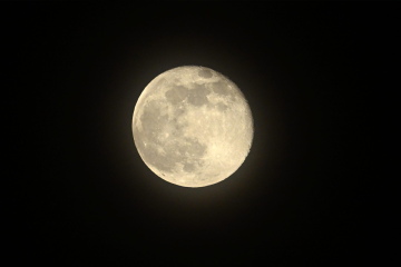 قمر القندس العملاق يزين سماء الكويت في حدث فلكي مميز قمر القندس العملاق يزين سماء الكويت في حدث فلكي مميز