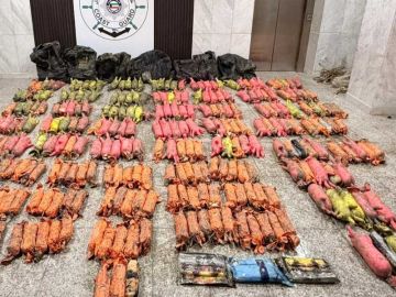 الداخلية : ضبط كمية كبيرة من المخدرات في قاع البحر الداخلية : ضبط كمية كبيرة من المخدرات في قاع البحر