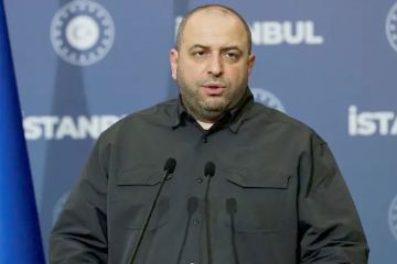 وفد أوكراني يفاوض ويتكوف وكوشنر على خطة سلام معدلة