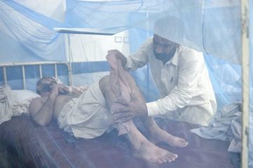 حمى الضنك تنتشر في باكستان حمى الضنك تنتشر في باكستان