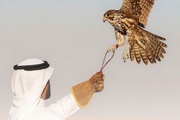  الداخلية : لا تهاون مع من يمارس الصيد داخـل المحميات الطبيعية