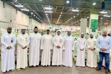 الشؤون : وافر تضخ 5.4 ملايين كرتون خضراوات شهريا بالسوق الشؤون : وافر تضخ 5.4 ملايين كرتون خضراوات شهريا بالسوق