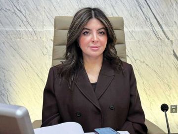 مديرة البلدية بالتكليف: تراخيص الأعمال الحرة في الخاص لا تخضع لإجراءات البلدية