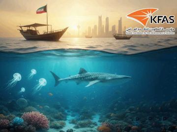  شهر العلوم .. رحلة إلى أعماق الإبداع والاكتشاف