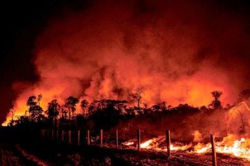 حريق في منتزه نيوزيلندا الوطني