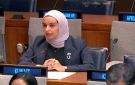 الكويت تؤكد التزامها الراسخ بدفع جهود قوات الأمم المتحدة لحفظ السلام