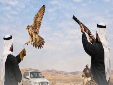 الداخلية: إجراءات قانونية ضد المواطنين ممارسي المقناص دون ترخيص بالعراق الداخلية: إجراءات قانونية ضد المواطنين ممارسي المقناص دون ترخيص بالعراق