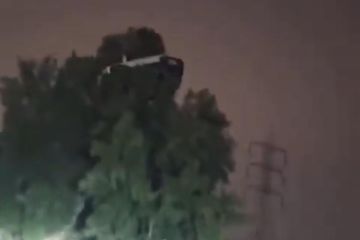 سيارة فوق شجرة على السادس تثير بلبلة وربكة أمنية سيارة فوق شجرة على السادس تثير بلبلة وربكة أمنية