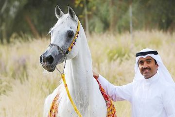 المرزوق يقدم دعماً مستداماً لسباقات الخيل يشمل تنظيم 25 كأساً