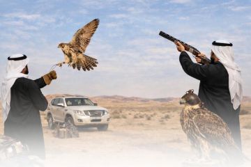  الداخلية تؤكد ضرورة الحصول على التصاريح الرسمية قبل التوجه إلى العراق لممارسة القنص