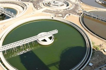  الشراكة تطلب طرح اكتتاب أسهم شركة أم الهيمان للمواطنين