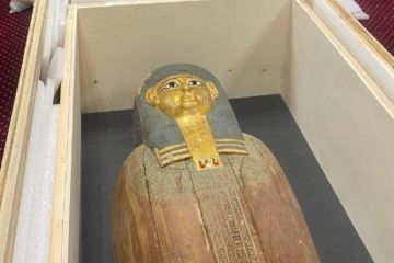 بلجيكا تسلم لمصر تابوتها ولحيتها 